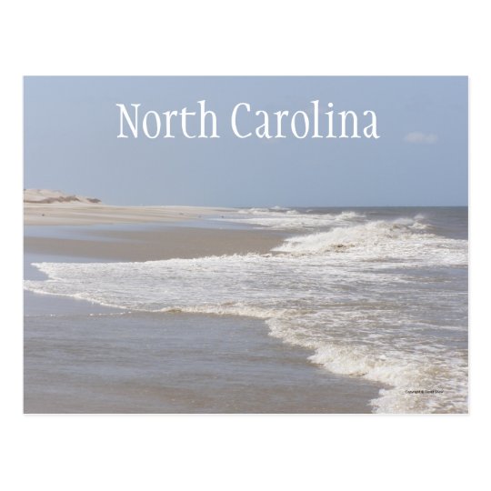 North Carolina Seascape Postcard