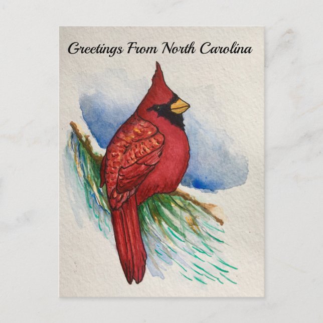 North Carolina State Bird Cardinal Water-colour Postcard (Front)