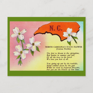 North Carolina State Flower Postcard
