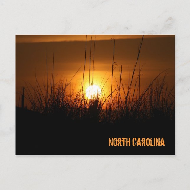 North Carolina Sunset Postcard (Front)