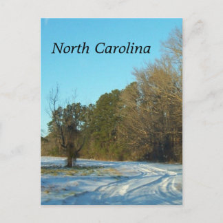 North Carolina Winter Snow Scene Postcard