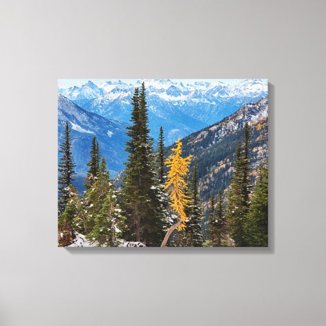 North Cascade Mountains Wenatchee National Forest Canvas Print (Front)