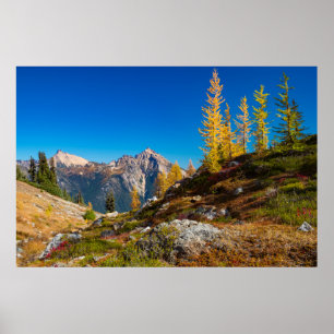 North Cascades Autumn Color Poster