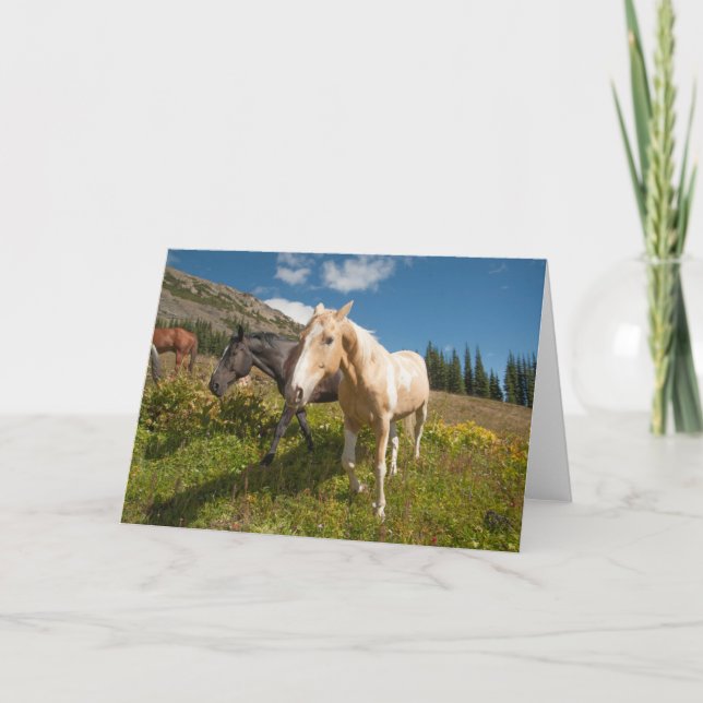 North Cascades National Park Card (Front)