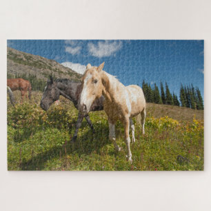 North Cascades National Park Jigsaw Puzzle