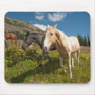 North Cascades National Park Mouse Mat