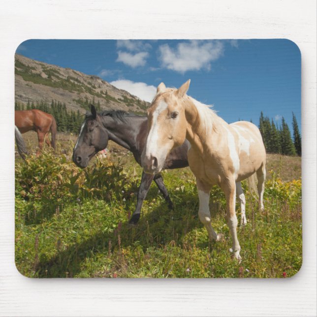 North Cascades National Park Mouse Mat (Front)