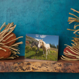 North Cascades National Park Plaque
