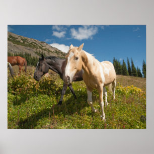 North Cascades National Park Poster