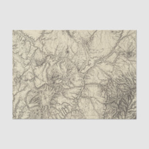 North Central New Mexico Tissue Paper