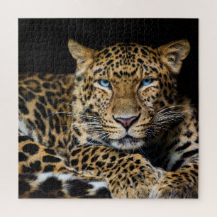 North China Leopard Zoo Illustration Jigsaw Puzzle