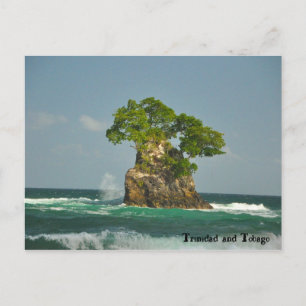 North Coast of Trinidad Postcard