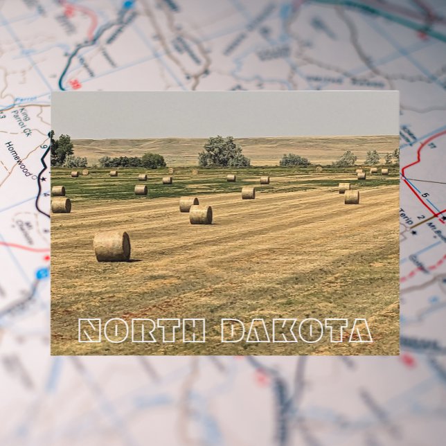 North Dakota Fields of Hay Bales Travel Postcard (In Situ Map)
