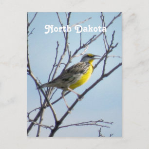 North Dakota Postcard