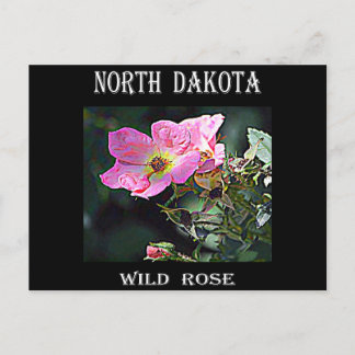 North Dakota Wild Rose Postcard