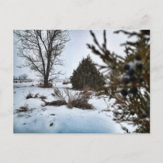 North Dakota Winter Snowstorm Postcard