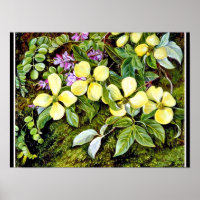 North - Flowers of a Dogwood and an Indigo, floral
