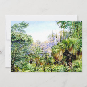 North - Forest Scene in West Australia