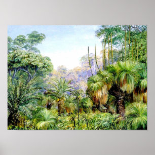 North - Forest Scene in West Australia Poster