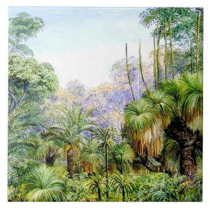 North - Forest Scene in West Australia Tile