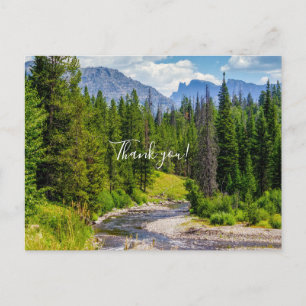North Fork Shoshine River Thank you Postcard