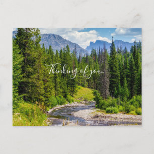 North Fork Shoshone River Thinking Of You Postcard