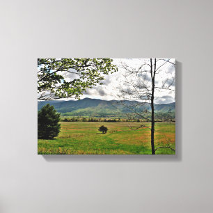North Georgia Mountains Scene Canvas