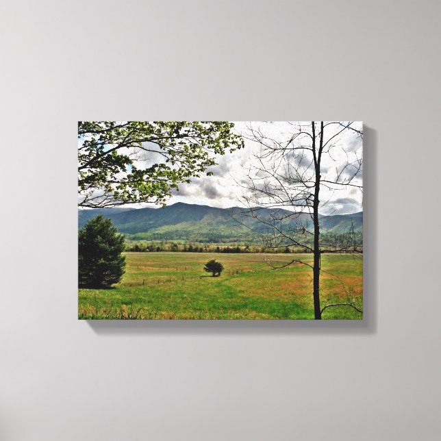 North Georgia Mountains Scene Canvas Print (Front)