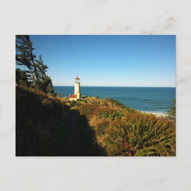 North Head Lighthouse, Cape Disappointment, WA Postcard (Front)