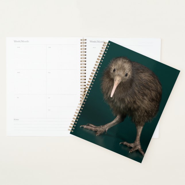 North Island Brown Kiwi Planner (Display)