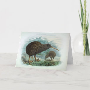 North Island Brown Kiwi Vintage Bird Illustration Card