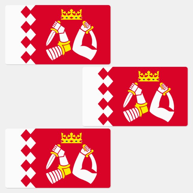 North Karelia Flag (Group)