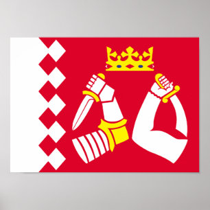 North Karelia Flag Poster