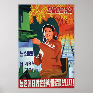 North Korea Propaganda Poster Let's finish the