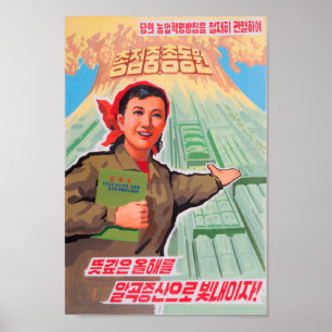 North Korean Propaganda Poster -