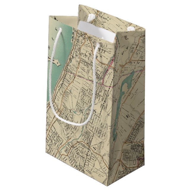 North New York City 5 Small Gift Bag (Back Angled)