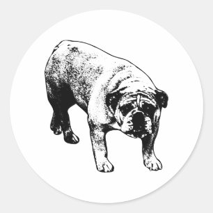 North Pole Bulldog Seal