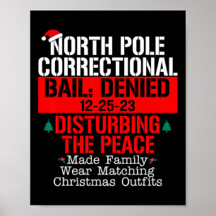 North Pole Correctional Bail Denied Disturbing The Poster