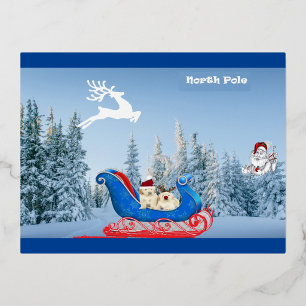 North Pole Sleigh Ride Foil Holiday Postcard