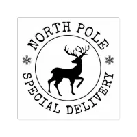 North Pole Special Delivery Christmas Holiday Self inking Stamp