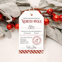 North Pole Special Delivery Naughty or Nice Santa