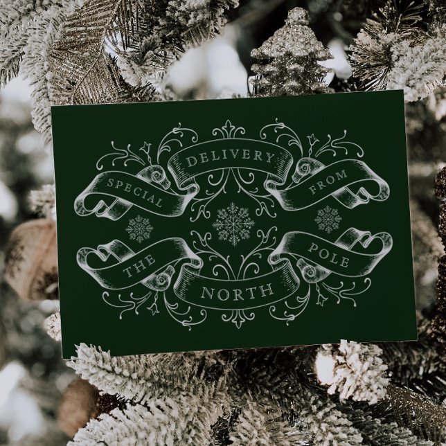 North Pole Special Delivery Santa Letter Christmas Envelope (Creator Uploaded)