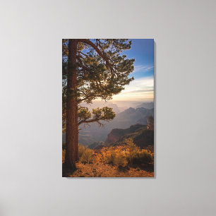 North Rim Sunrise Canvas Print