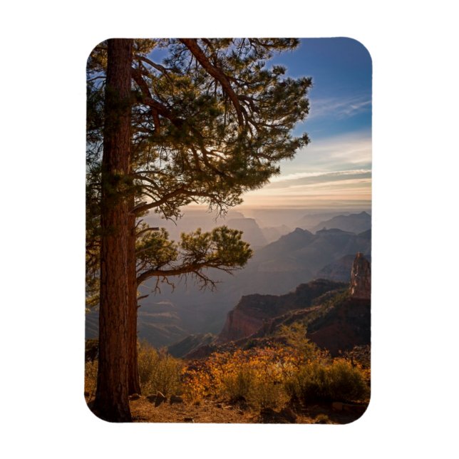 North Rim Sunrise Magnet (Vertical)