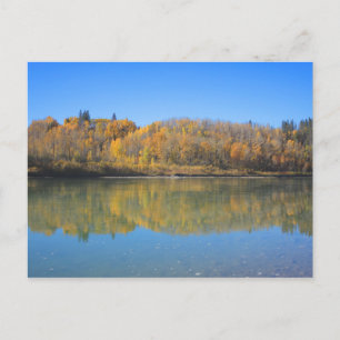 North Saskatchewan River - Autumn Postcard