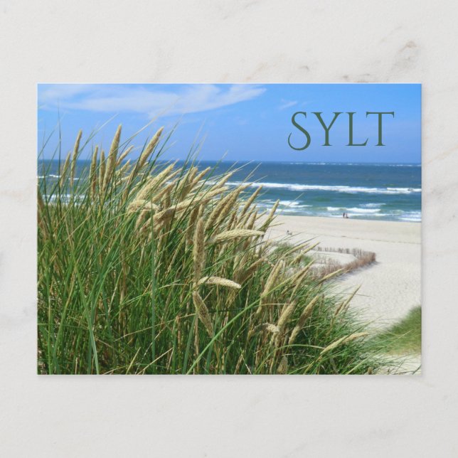North Sea, Beach, Dune Grass, Sylt, Nordfriesland Postcard (Front)