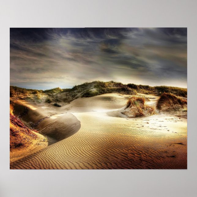 North Sea Dunes Poster (Front)