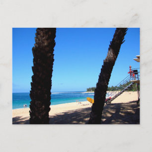 North Shore Oahu Hawaii Beach with Surfboard Postcard