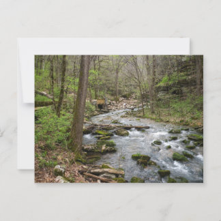 North Sylamore Creek Postcard