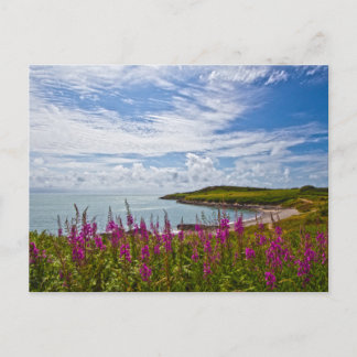 North Wales Coastline Postcard